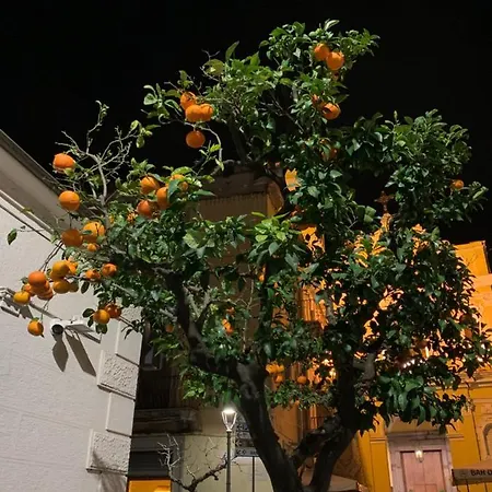 Aparthotel La Dimora Di Cornelia
